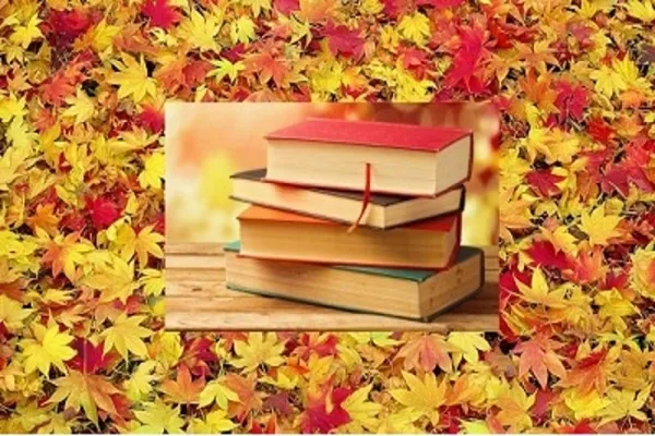 پرداخت یارانه پاییزه کتاب به کتابفروشی‌های سراسر کشور به جز تهران