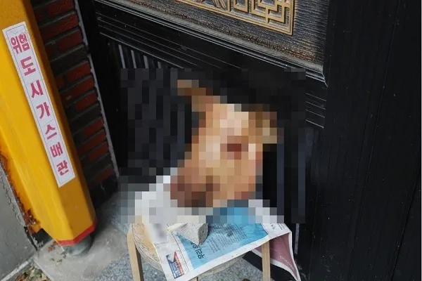 Güney Kore'de Müslümanlara saygısızlık!