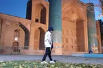 یک شب سرد پاییزی در پارک شیخ شهاب‌الدین اهری