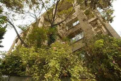 طبیعت بهاری تهران