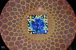ویژه‌برنامه «امت ماه» در اصفهان