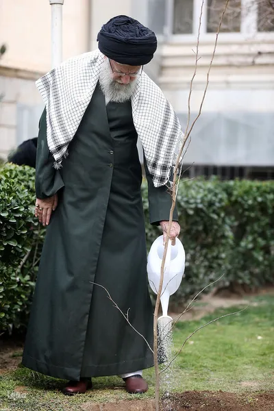 کاشت نهال در هفته منابع طبیعی