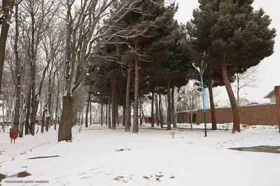 بارش برف در اهر