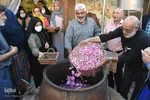جشنواره گل و گلاب محمدی - سمنان‎‎