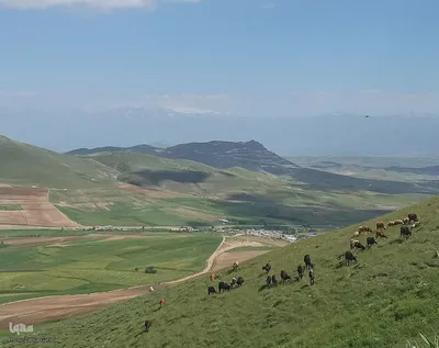 طبیعت بهاری ارتفاعات سامبران در جاده اهر