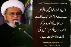 حضرت سیدہ فاطمہ زہرا (س) کی سیرت خواتین عالم کے لیے بہترین درس ہے