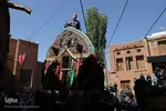 آیین سنتی «نخل‌گردانی» در روستای ابیانه نطنز