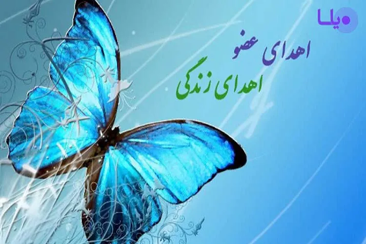 کودک ۶ ساله رفسنجانی جان ۴ بیمار را نجات می‌دهد
