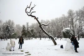 بارش برف زمستانی در تهران