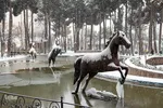 کرج سپید پوش شد‎