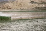 تالاب قوری گول‎‎
