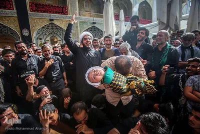 بارگاه امیرمؤمنان در آستانه اربعین ثارالله