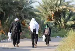 طریق العلما