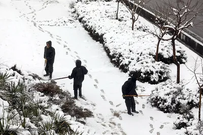 تهران برفی