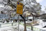 بارش اولین برف پاییزی در تبریز‎