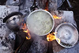 روز طبیعت در تهران
