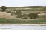 تالاب قوری گول‎‎