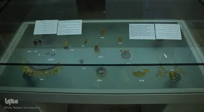 شب جلال الدین همایی‎‎