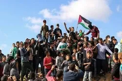 Au moins 44 Palestiniens tués par les forces d'occupation en novembre 2019