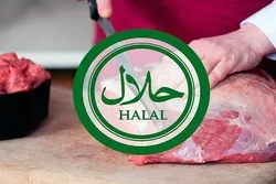 Pakistanischer Beamter betont, in den globalen Markt für halales Fleisch einzusteigen
