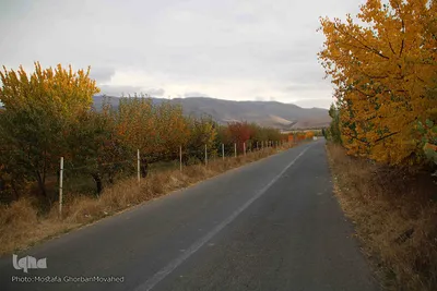 پاییز هزار رنگ دراهر