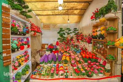 رونق بازار گل و گیاه در آستانه بهار