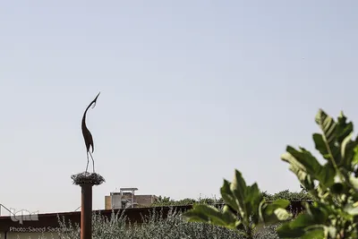 دانشگاه هنر اسلامی تبریز
