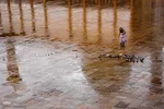 به مناسبت بزرگداشت میلاد حضرت احمدبن موسی شاهچراغ (ع)‎