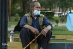 با این ستاره‌ها می‌شود راه را پیدا کرد