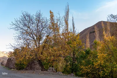 پاییز زیبای طالقان