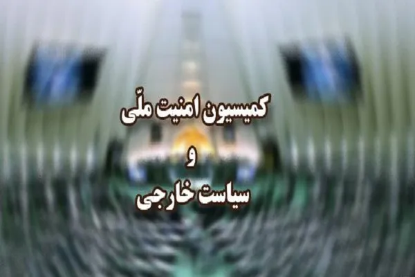 کمیسیون امنیت ملی مجلس کشتار مسلمانان هند را محکوم کرد