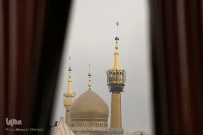 تجدید میثاق دانشگاهیان با آرمان‌های امام راحل