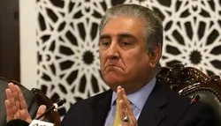 فلسطین اور مقبوضہ کشمیرکی صورتحال ایک جیسی ہے: شاہ محمود