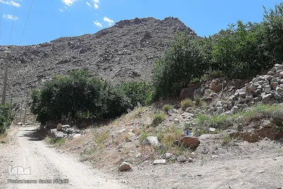 طبیعت زیبای شهرستان تفت
