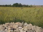 طبیعت زیبای قوشاداغ در اهر