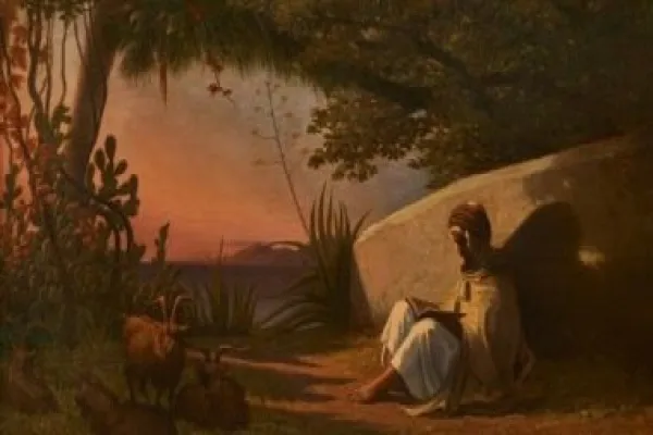 دار 