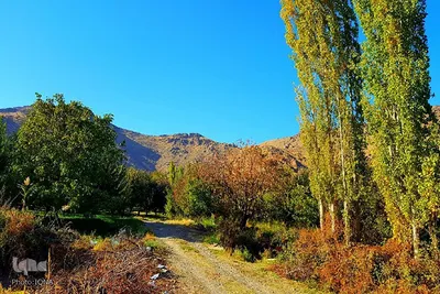 نقاشی‌ هزاررنگ پاییز در ارومیه