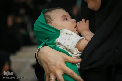 همایش شیرخوارگان حسینی در حرم حضرت معصومه (س)
