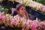 نمایشگاه گل و گیاه - محلات/عکس:محمد رجبی