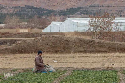 روز پدر در اصفهان