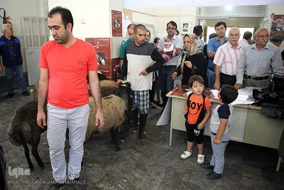 عید قربان در آسایشگاه سالمندان و معلولین  قدس