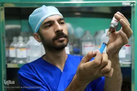 باران لبخند در کویر لب شکری های خراسان جنوبی