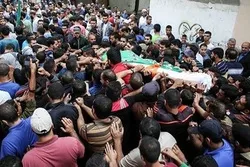 Falastinawa 316 Ne Suka Yi Shahada A Cikin Wannan Shekara