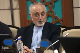  علی اکبر صالحی، معاون پژوهشی و قائم مقام فرهنگستان علوم 