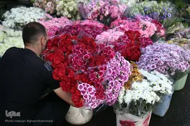 بازار گل شهید محلاتی در روز ملی گل
