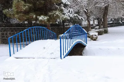 بارش نخستین برف زمستانی در ارومیه‎‎
