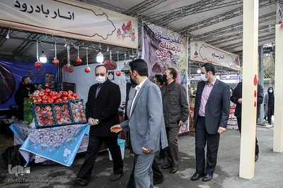 آیین افتتاح دهمین جشنواره «انار صد دانه یاقوت»