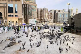 نخستین روز حج تمتع