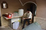 جشنواره گل و گلاب محمدی - سمنان‎‎