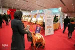 نمایشگاه گردشگری و زیارت‎‎ در شیراز